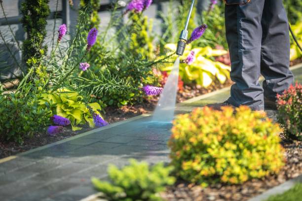 Best Driveway Cleaning and Restoration in Flatonia, TX